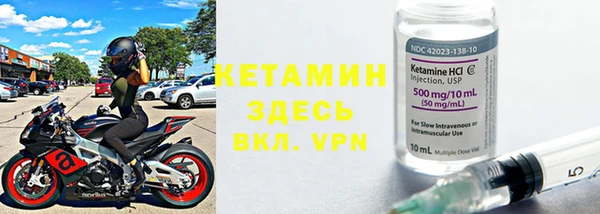 прущие грибы Балабаново