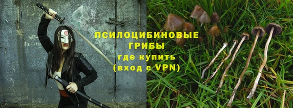 2c-b Балахна