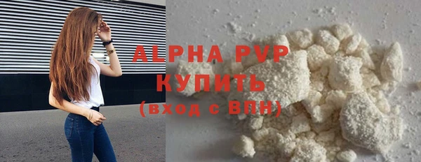прущие грибы Балабаново